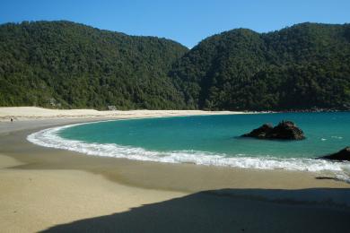 Sandee - Playa De Caleta Condor