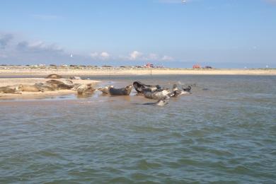 Sandee Blakeney Point Beach