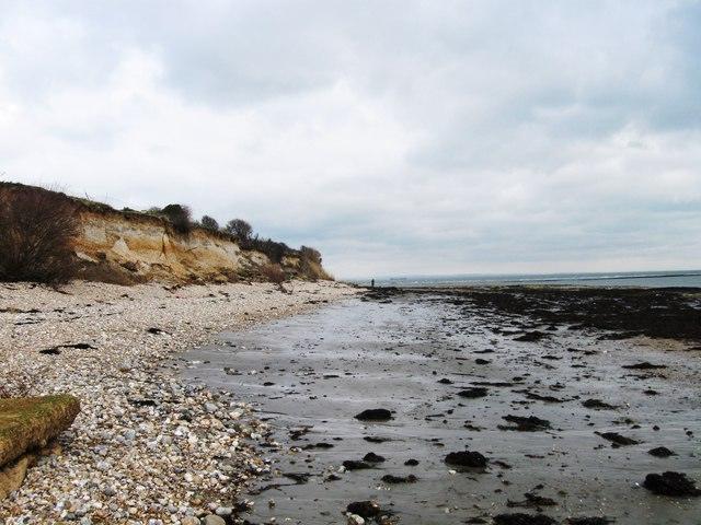 Sandee - Forelands Beach