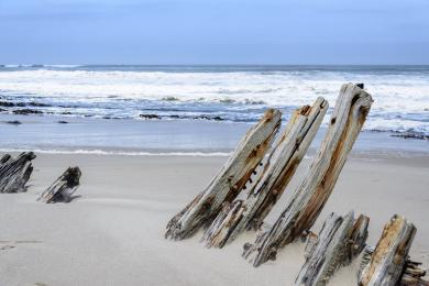 Sandee - Skeleton Coast Beach