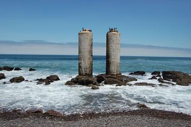 Sandee - Skeleton Coast Beach