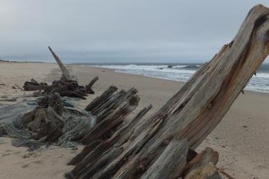 Sandee - Skeleton Coast Beach