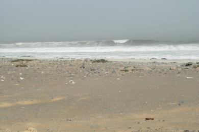 Sandee - Skeleton Coast Beach