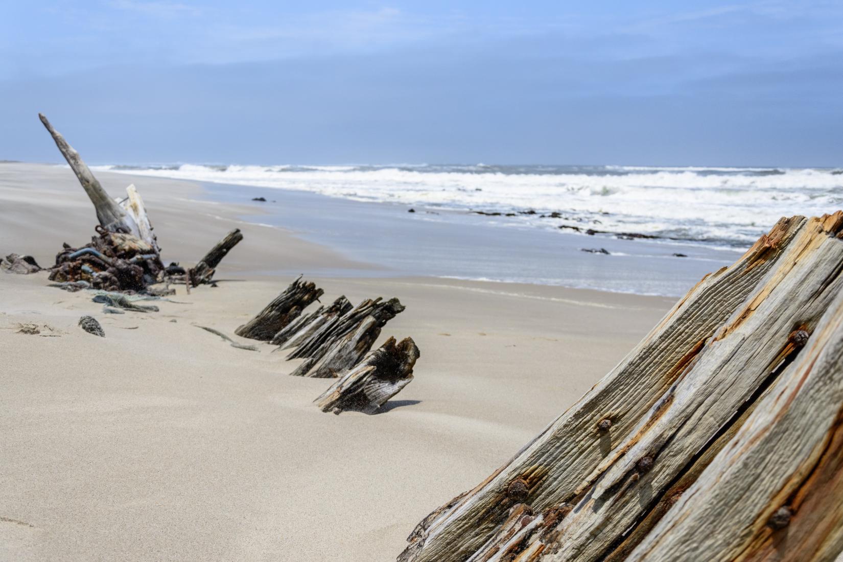 Skeleton Coast Photo - Sandee