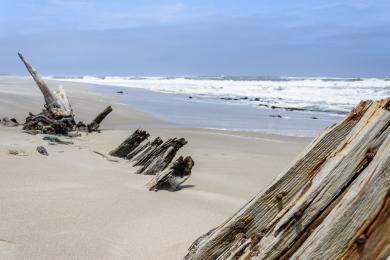 Sandee - Skeleton Coast Beach