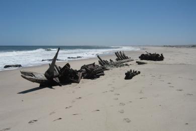 Sandee Skeleton Coast Beach