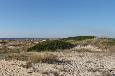 Sandee Praia Das Dunas De Sao Jacinto Photo