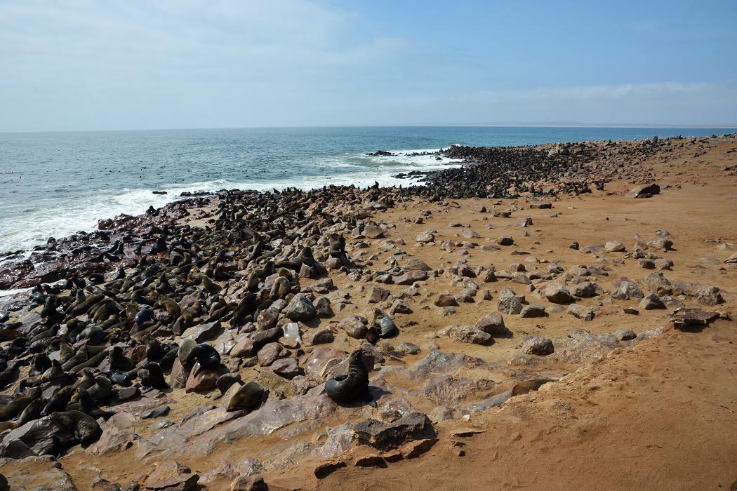 Sandee Cape Cross Beach Photo