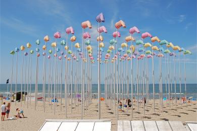 Sandee Bergen Aan Zee Beach