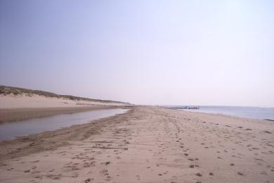 Sandee - Bergen Aan Zee Beach