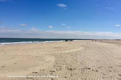 Sandee - Renesse Beach