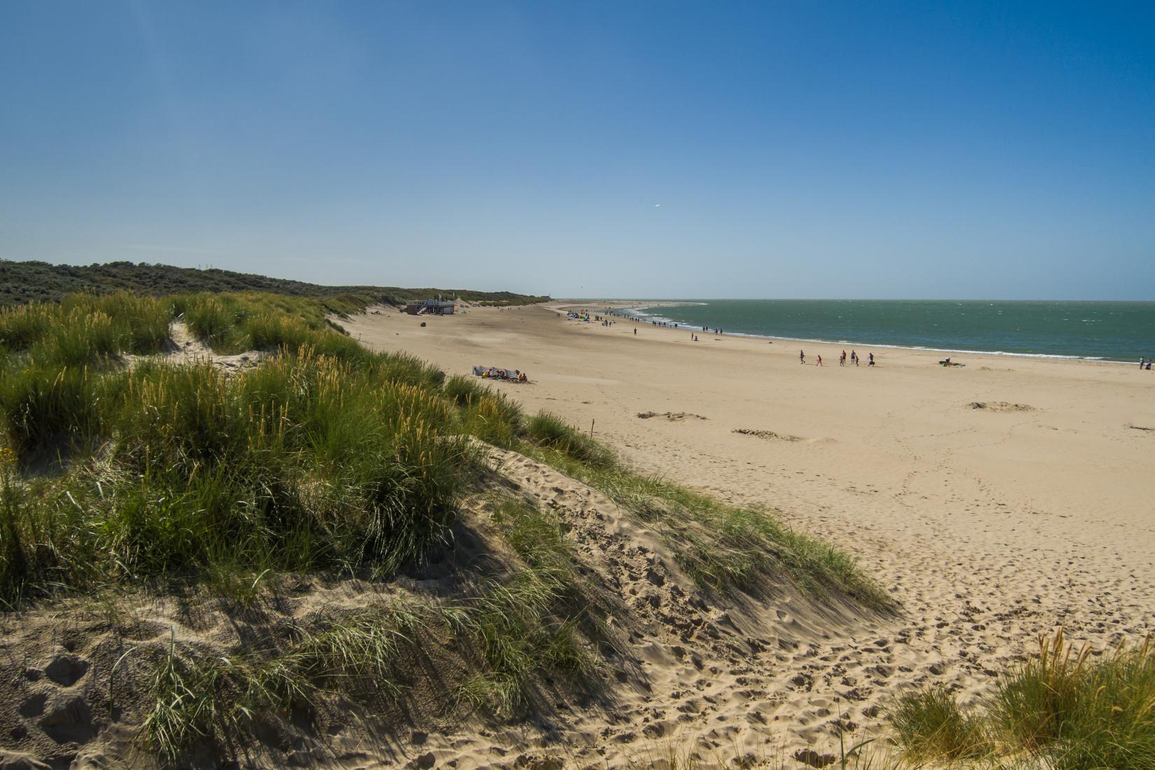 Sandee - Renesse Beach