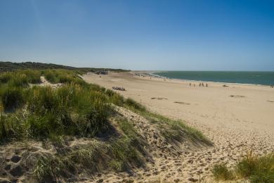 Sandee Renesse Beach Photo