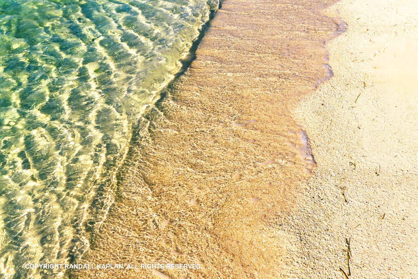 Sandee - Renesse Beach