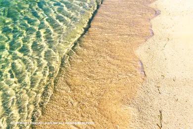 Sandee - Renesse Beach