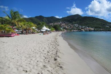 Sandee - Petite Anse D'Arlet Beach