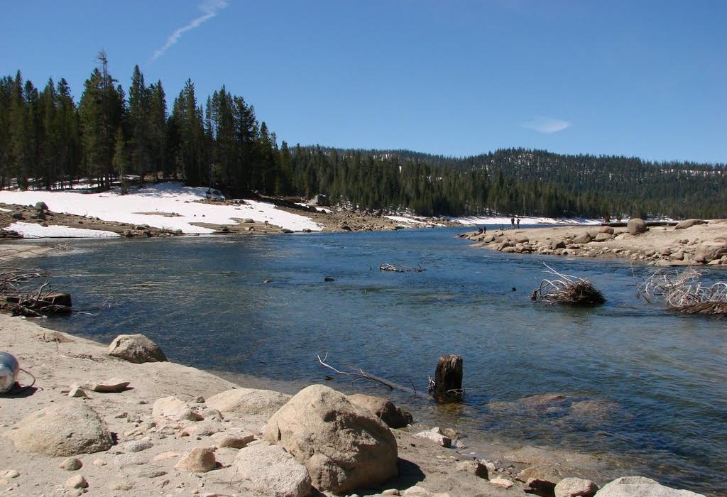 Sandee Shaver Lake Sierra Marina Photo