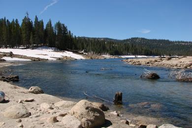 Sandee Shaver Lake Sierra Marina