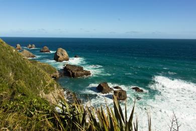 Sandee Nugget Point Photo