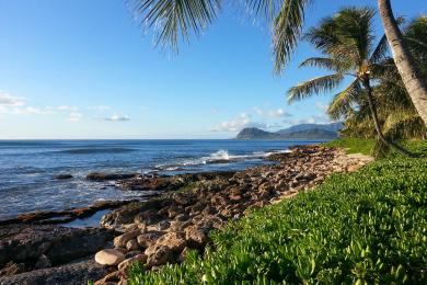 Sandee Paradise Cove Beach Photo