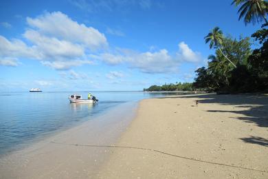 Sandee - Aneityum Island