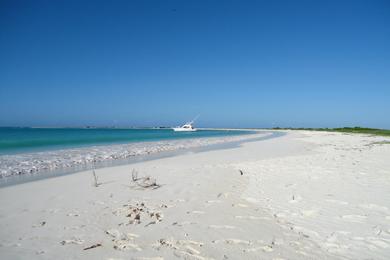 Sandee - Isla La Tortuga