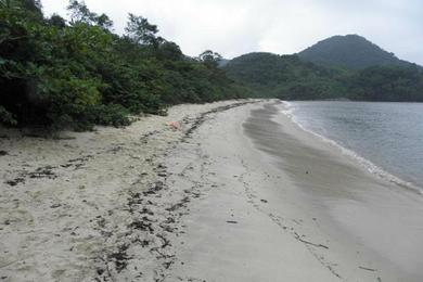 Sandee Taquari Beach