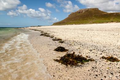 Sandee Coral Beach Photo