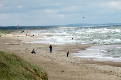 Sandee Juodkrante Beach Photo