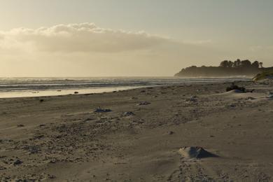 Sandee Rarawa Beach Photo