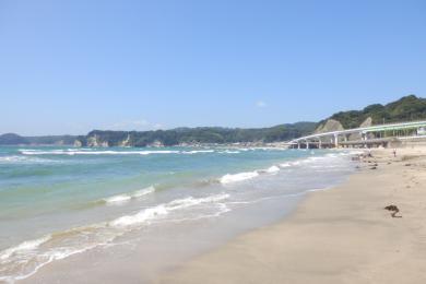 Sandee - Katsuura Central Beach