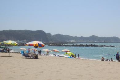 Sandee - Katsuura Central Beach