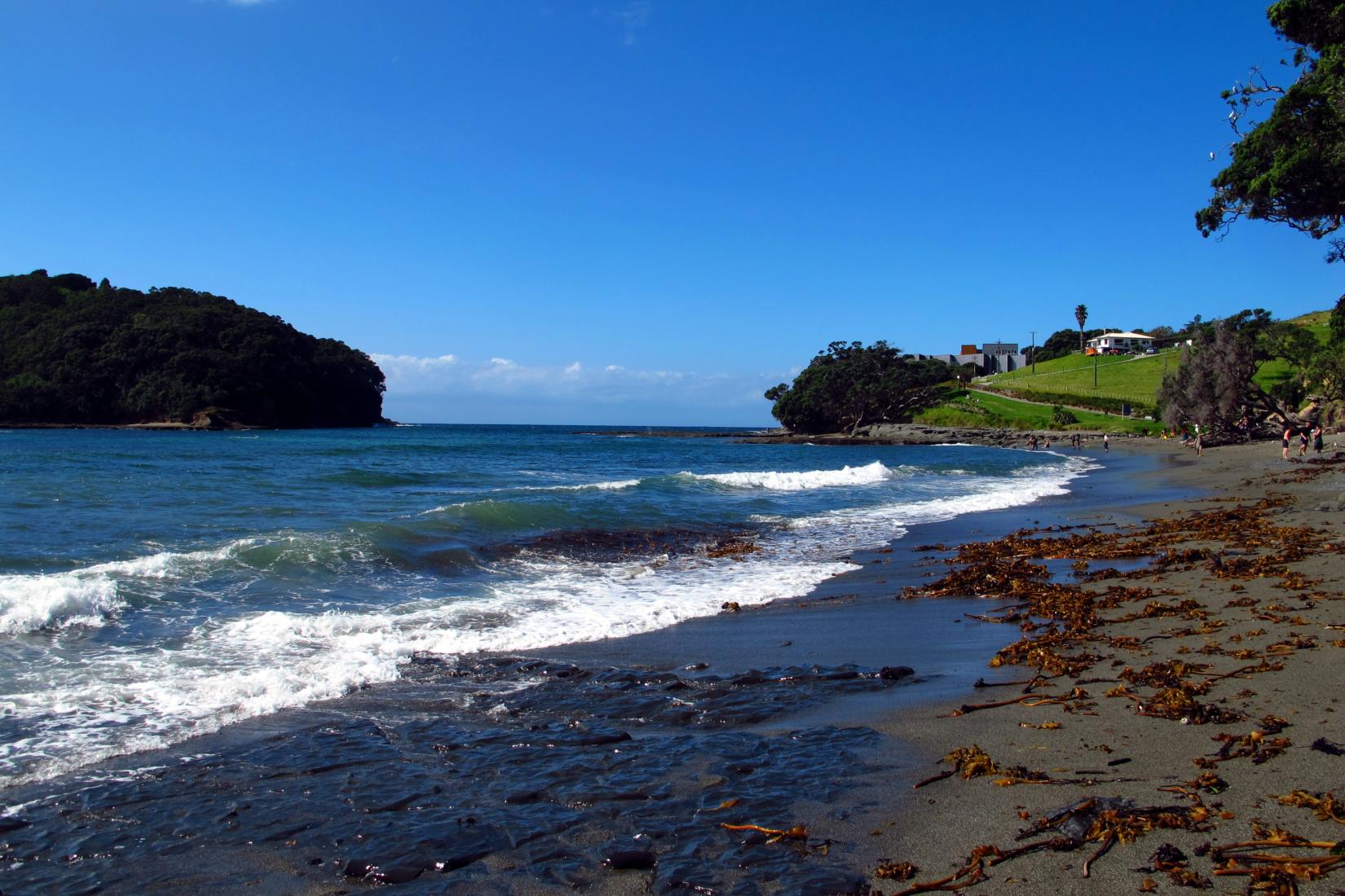 Sandee - Goat Island Marine Reserve