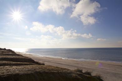 Sandee Uwe Dune