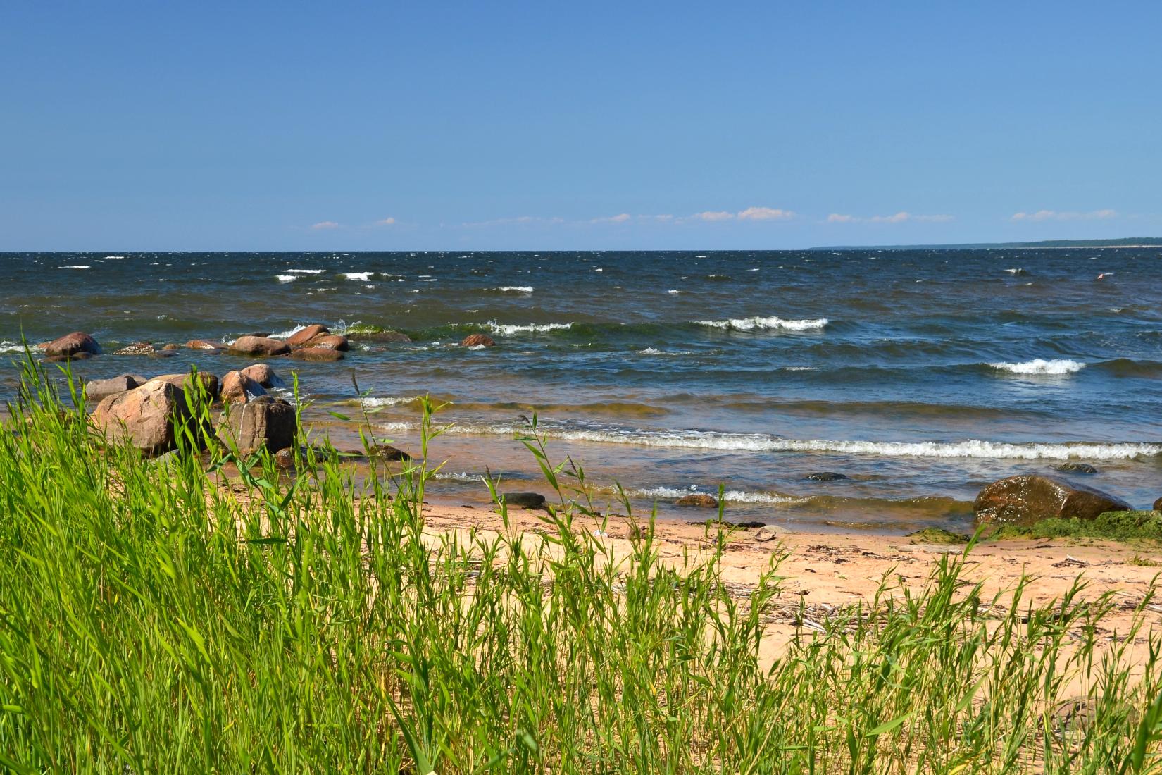 Sandee - North Vidzeme Biosphere Reserve Beach