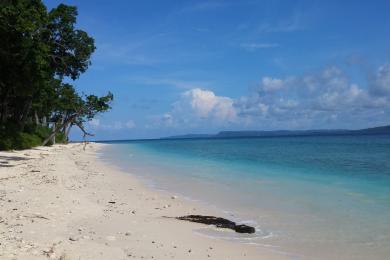 Sandee Laxmanpur Beach