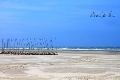 Sandee Berck Sur Mer