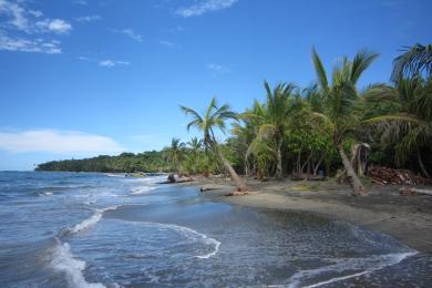 Sandee Playa Puerto Viejo