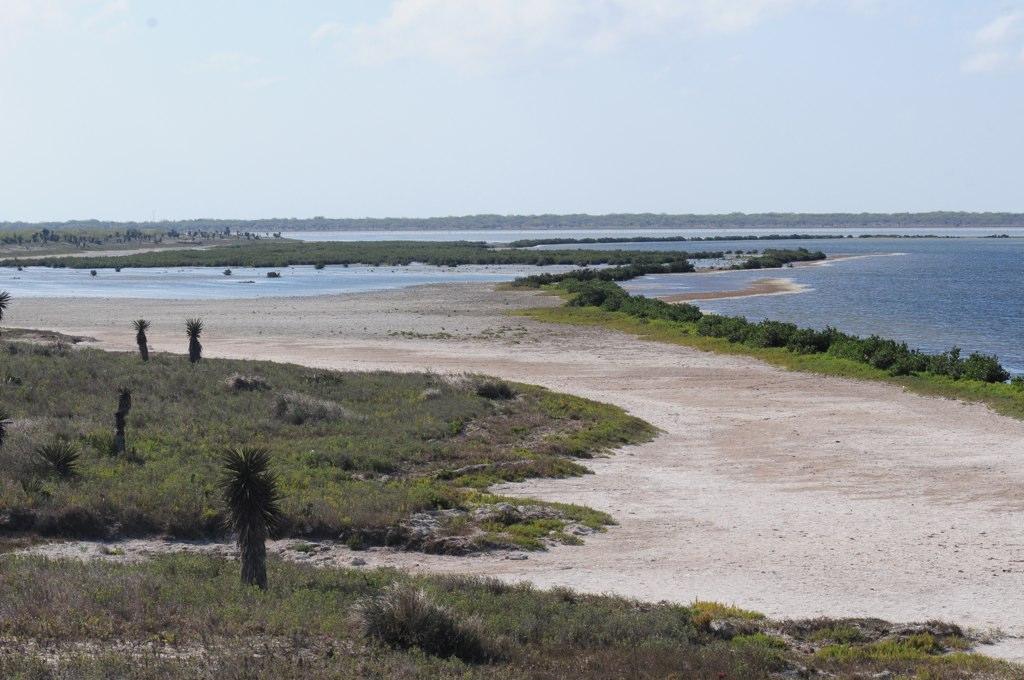 Sandee - Laguna Atascosa National Wildlife Refuge