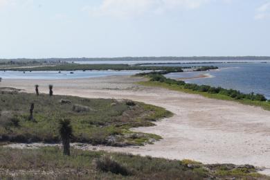 Sandee - Laguna Atascosa National Wildlife Refuge