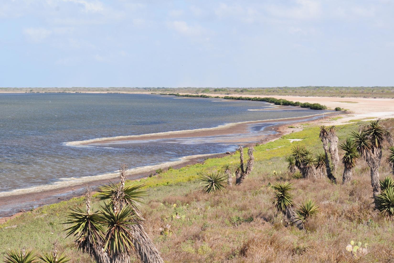 Sandee - Laguna Atascosa National Wildlife Refuge