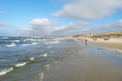 Sandee Lokken Strand