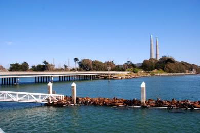 Sandee Moss Landing Harbor Photo