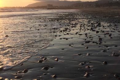 Sandee - Emma Wood State Beach – North Beach