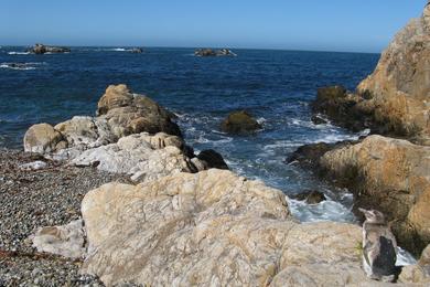 Sandee Cabo Blanco Photo