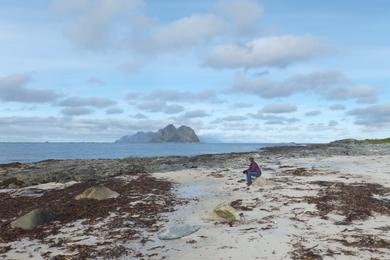 Sandee Vaeroy Beach
