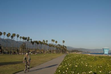 Sandee Chase Palm Park Photo