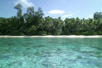 Sandee Long Beach Palau
