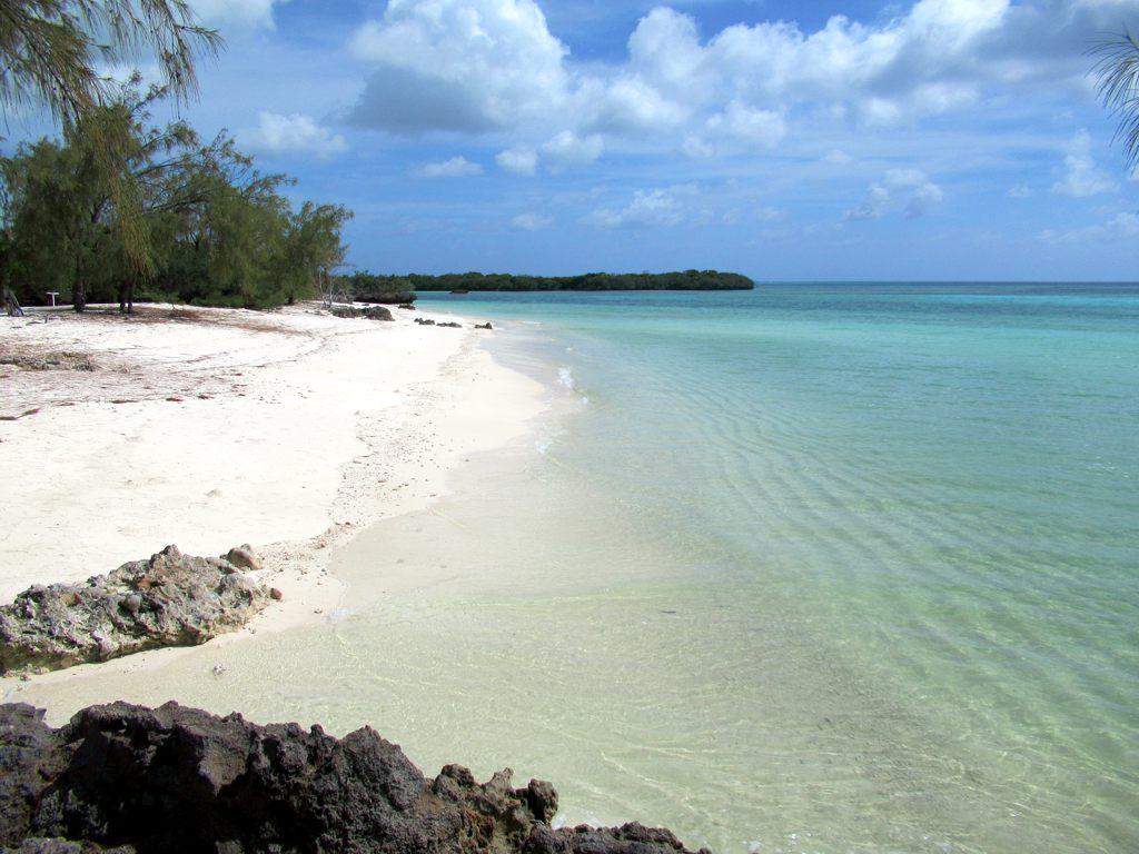 Sandee - HomePage / Aldabra Atoll