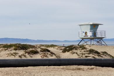 Sandee Harbor Cove Beach Photo